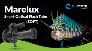 Marelux Smart Optical Flash Tube (SOFT) Snoot Review // A Revolutionary Macro Tool