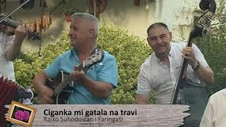 Rajko Suhodolčan i Faringaši - Ciganka mi gatala na travi