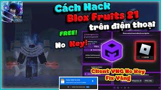 Hướng Dẫn Hack Roblox VNG Nokey, Fix Văng, Anti Ban Hack Blox Fruits 21 Trên Điện Thoại