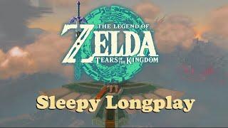 Zelda: Tears Of The Kingdom Longplay  Exploring Hyrule & Making New Friends (No Commentary )