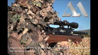 Airgun Hunting: Yellow-Billed Duck Shooting in South Africa with the Air Arms Galahad