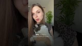 Учим 2 иероглифа, а знаем 3! 宠物 по-китайски это... #китайскийонлайн #животные #китайскийязык #hsk