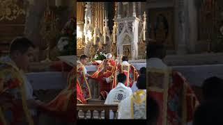  Beauty Of The Latin Mass