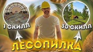 РАБОТАЮ 1 ЧАС ЛЕСОРУБОМ на АМАЗИНГ РП в GTA CRMP