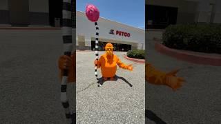 Let it grow @petco #letitgrow #lorax #thelorax #memes #funny #prank #cosplay #onceler #ohare #lol