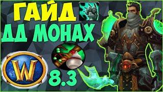 Гайд на ВВ МОНКА WoW 8.3.7 (Монах ДД Танцующий с ветром)