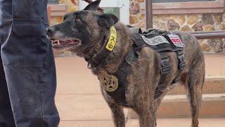 CPW ceremony honors retiring K-9