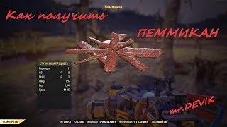 Испытание опоссум:специалист по пешему туризму ПЕММИКАН в Fallout76