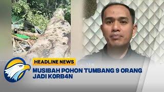 [HEADLINE NEWS 04/11] Kronologis Pohon Tumbang di Soppeng, Sulsel