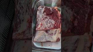 Double Brisket Dry Cure Montreal Smoked Meat #shorts