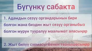 Табият таануу 3-сабак