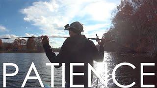 Swimbait Psychology: PATIENCE