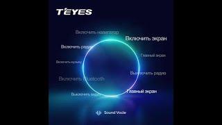 Команды голосового управления магнитолы Teyes - инструкция и секреты