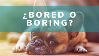 ¿Bored o boring? La simple diferencia entre -ED y -ING en adjetivos en inglés