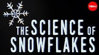 The science of snowflakes - Maruša Bradač