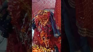 Sayar maa dildar nagar Ghazipur famous mandir  #viral #dildarnagar #ghazipur #uttarpradesh