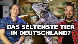 Das seltenste Haustier in Deutschland?  .. AQUARIEN & TERRARIEN von Sven