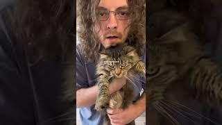 My cats eat better than me