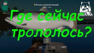 Русская рыбалка 4. Спиннинг на Волхове. Лосось, щука, жерех и судак на троллинг.