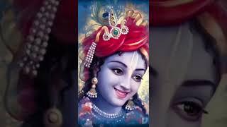 gulabi Sadi #song #newsong #love radhe Krishna short love #music #rahasyam #radharadha #smkrishna