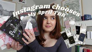 Instagram entscheidet, welche Bücher ich im April lesen soll 