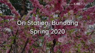 Ori Station, Bundang | Spring 2020 | Life on the Edge of Bundang