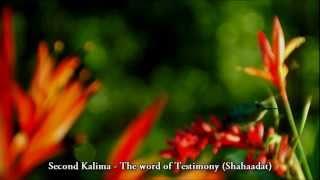 The 6 (six) Kalimas - Basic Faith Teachings of Islam - TrueGuidanceISLAM - HD