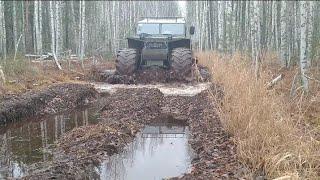 Заезд на осенне- зимнюю охоту 24-25 года.  Обустройство.  Добыл глухаря.