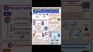 HTTPS protocol #shorts