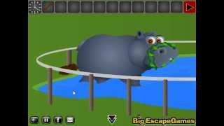 Zoo Escape 2 Video Walkthrough