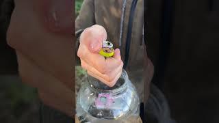 Water TEST! Who will endure?#survival #bushcraft #outdoors #camping #fire