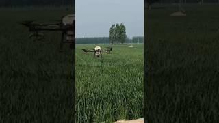 Smart robotic pesticides sprayer for precision agriculture