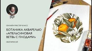 Ботаника акварелью • Как легко нарисовать апельсины на ветке акварелью