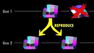 Jelly Evolution Simulator