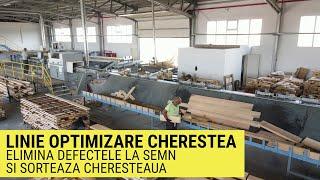 Linie de optimizare cherestea verde cu eliminarea defectelor la capete si la semn