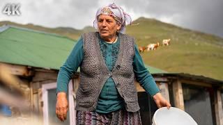 A Rainy Migration Day on the Plateau- Struggle in the High Mountains |Documentary-4K