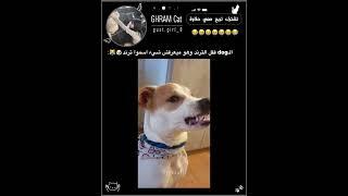 فطست#apt #rose #explorepage #virlshort #virlvideo #like #foryou #fypシ゚viral #fyp #explore#apt #xd