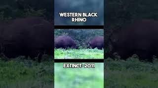 Last Videos of 5 Extinct Animals
