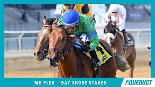 Mo Plex - 2025 - Bay Shore