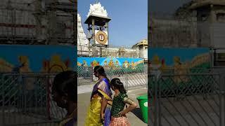 Tirupati balaji temple #tirupati #balajitemple #shorts