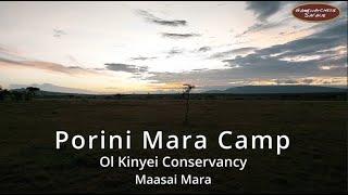Porini Mara Safari Camp, Ol Kinyei Conservancy - Maasai Mara
