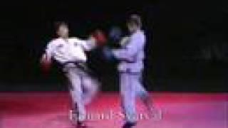 Prof Fights Taekwon-do (ITF) in Estonia. (Music -"FIGHT")