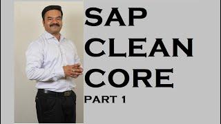 SAP Clean Core Nov 2024