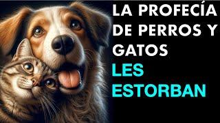 LA PROFECÍA de los PERROS y GATOS ESTOS SERES de LUZ LES ESTORBAN a los OSCUROS