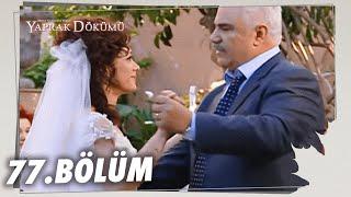 Yaprak Dökümü 77. Bölüm - Full Bölüm