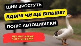 Якими можуть бути ціни на поліси автоцивілки з 01 січня 2025 року?