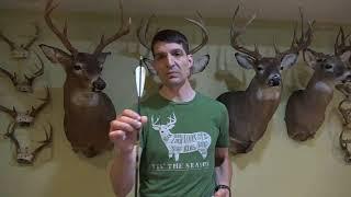 Live stream from Sean's Outdoor Adventures