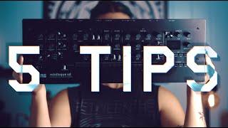 5 Tips For The MINILOGUE XD