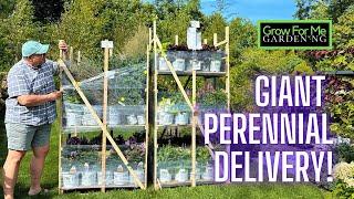 Unboxing Perennials for Fall Planting ⭐️ Plant Stats and Why We Chose Each Variety