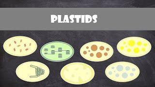 Plastids | Plant Biology